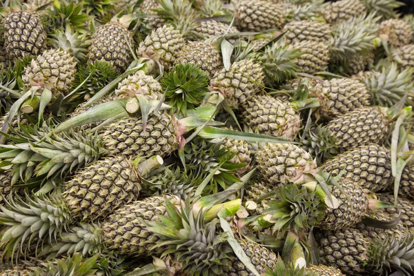 Lot of pineapple — Stock Photo, Image