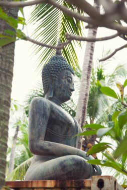 Buda heykeli