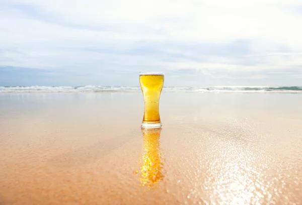 Glass of beer Royalty Free Stock Images