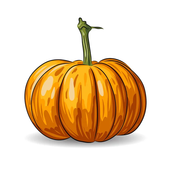 Vector pumpkin isolated on white background — Stock Vector