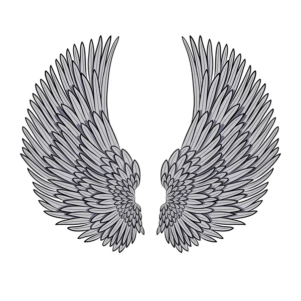 Coppia vettoriale di ali d'angelo isolate su bianco — Vettoriale Stock