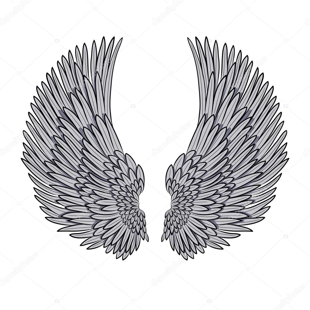 vector pair of angel wings isolated on white