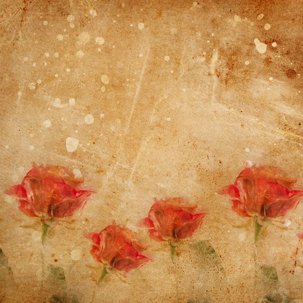 Красивые красные розовые цветы — стоковое фото