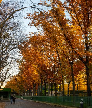 Sokakta sonbahar akşamı