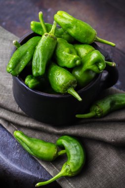 Ham yeşil biber gizemli de padron geleneksel İspanyolca tapas