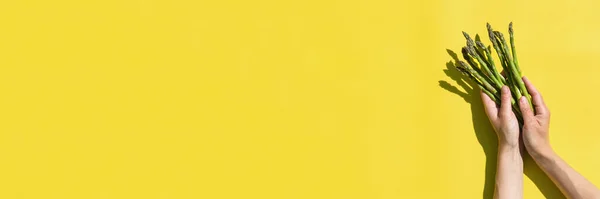 신선하게 아스파라거스에 선명하고 그림자가 있습니다 크리에이티브 디자인 배경을 밝히고 현수막을 — 스톡 사진