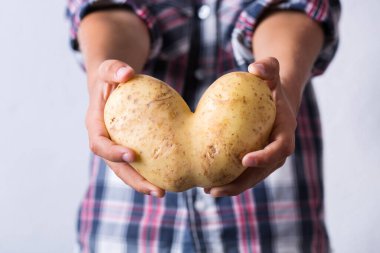 Modaya uygun çirkin sebzeler, ellerinde kalp şeklinde kusurlu komik patatesler. Çiftçiler, organik, biçimsiz, tuhaf gıda atığı konsepti üretirler. Üst görünüm, boşluk arkaplanı kopyala