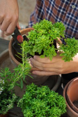 Otlar eken ve şehir bahçesi yapan insanlar.