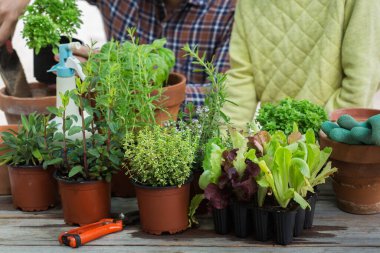 Çocuk, bitkilerin ekilmesine ve şehir bahçesi yapılmasına yardım ediyor.