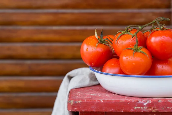 Red fresh tomatoes on a branch, local food and produce — Stock Photo, Image