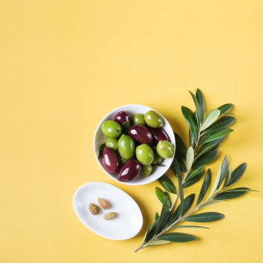 Taze zeytin ve zeytin dalı.