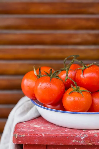 Red fresh tomatoes on a branch, local food and produce — Stock Photo, Image