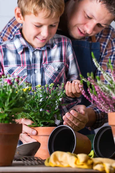 子供は父親が花を植えるのに役立ちます。家庭での家族の時間 — ストック写真