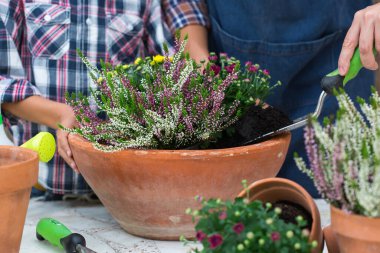 Çocuk, babasının çiçek dikmesine yardım eder. Evde ailece vakit geçirmek.