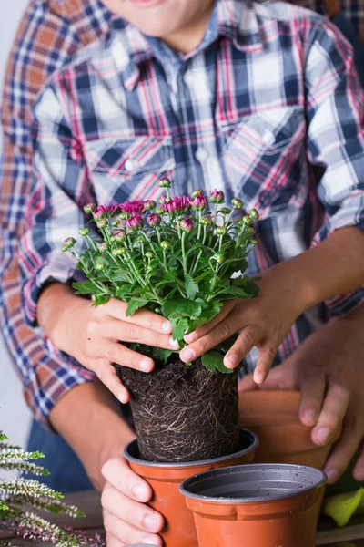 子供は父親が花を植えるのに役立ちます。家庭での家族の時間 — ストック写真