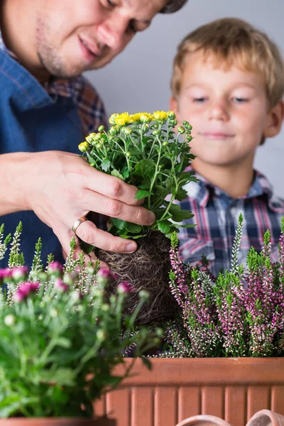 子供は父親が花を植えるのに役立ちます。家庭での家族の時間 — ストック写真