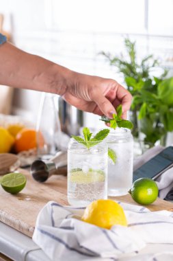 Karışım uzmanı evde sert maden suyu ile ferahlatıcı bir kokteyl hazırlıyor.