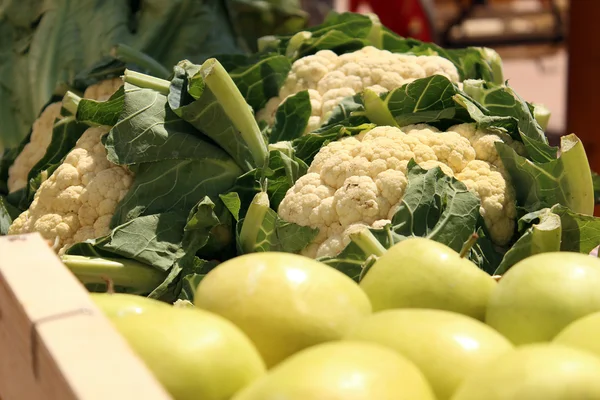 Äpfel und Kohl — Stockfoto