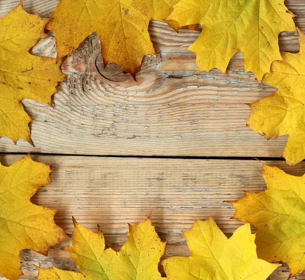 Marple lämnar ram på trä textur — Stockfoto