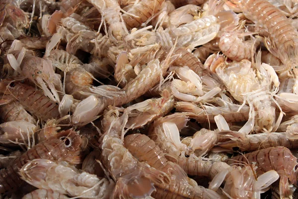 Raw shrimp Royalty Free Stock Photos