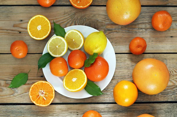 柑橘系の果物 - オレンジ、レモン、タンジェリン、グレープ フルーツ — ストック写真