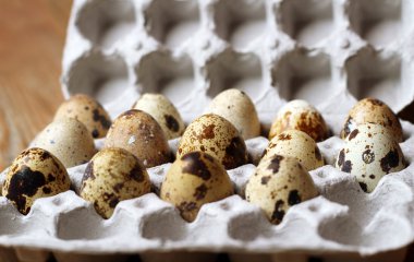 Bıldırcın yumurta closeup 