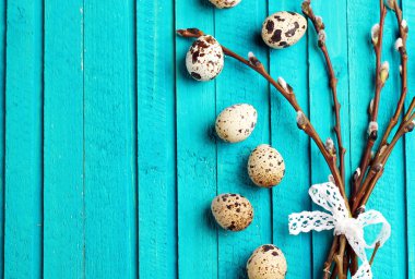 Quail eggs and willow branch