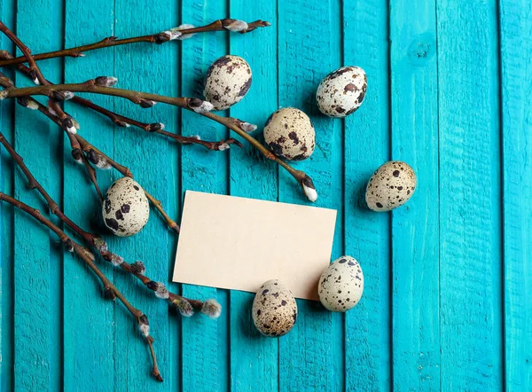 Quail eggs and willow branch — Stockfoto