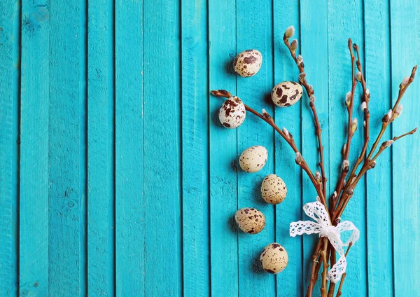 Quail eggs and willow branch — Stockfoto