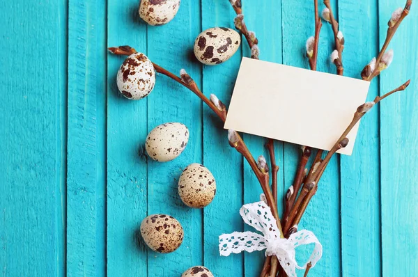 Quail eggs and willow branch — Stockfoto