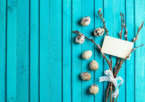 Quail eggs and willow branch — Stockfoto