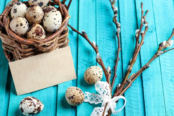 Quail eggs and willow branch — Stockfoto