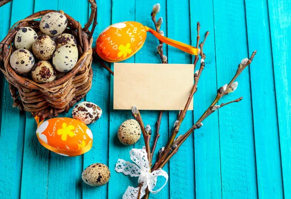 Quail eggs and willow branch — Stockfoto