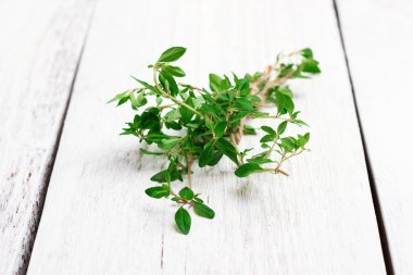 Fresh herbs (thyme) on a wooden table