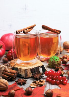 Sonbahar sıcak içecek bir bardak meyve ve baharat ile