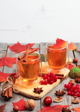 Sonbahar sıcak içecek bir bardak meyve ve baharat ile