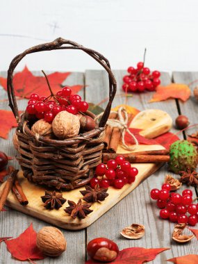 Fındık ve kartopu (guelder rose ile sonbahar sepeti)