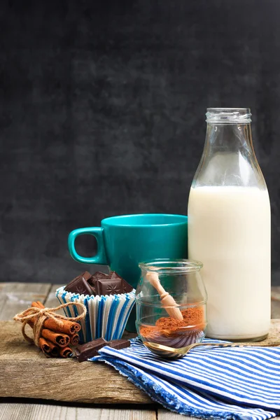 Ingredients for homemade cacao (cocoa) — ストック写真