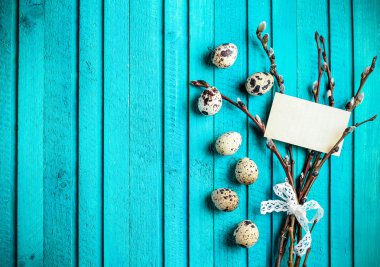 Quail eggs and willow branch