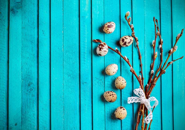 Quail eggs and willow branch — Stockfoto