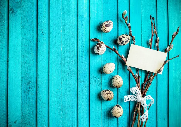 Quail eggs and willow branch — Stockfoto