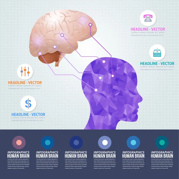 Flache Grafik menschlicher Kopf und realistische Gehirn-Illustration, Geschäftskonzept Vektor-Infografik-Design — Stockvektor