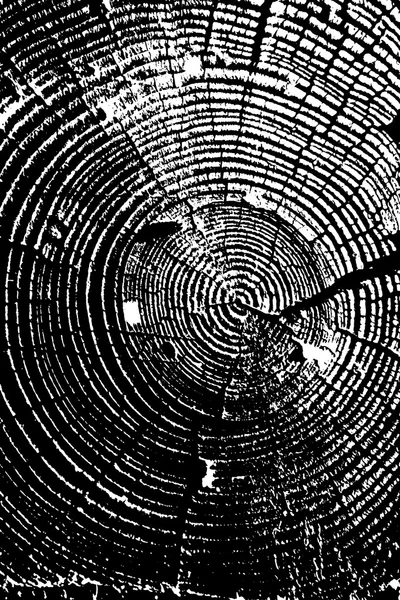 Grungy cercles en bois texture fond en noir et blanc — Image vectorielle