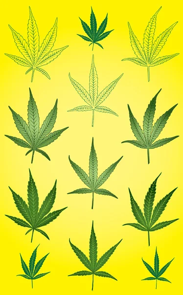 Marihuana verde hoja de cannabis símbolo vector ilustración — Archivo Imágenes Vectoriales