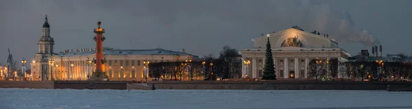 Sankt-Petersburg, ön Vasilievsky Stockbild