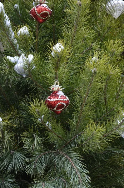 Weihnachtsdekoration Auf Abstraktem Hintergrund Geschmückter Weihnachtsbaum Leuchtende Weihnachtsgirlanden Und Schmuck — Stockfoto