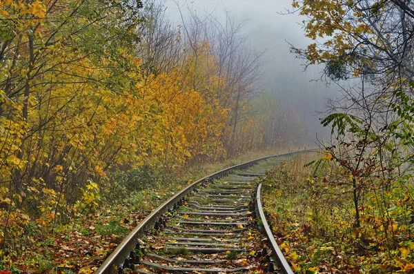 Trilhas Trem Não Utilizadas Com Fundo Florestal Dia Nevoso Trilhas — Fotografia de Stock