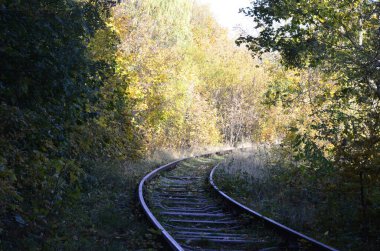 sisli bir günde orman arka planında kullanılmayan tren rayları. Sisli bir ormanda tren rayları.