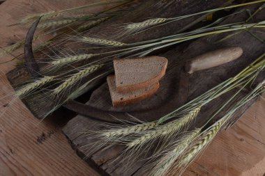 Ekmek, buğday kulakları ve ahşap bir tahtanın üzerinde eski bir orak. Bir avuç biçilmiş buğday kulağı ve el yapımı Orakçı kancası sapığı.