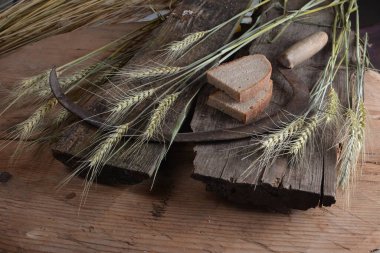 Ekmek, buğday kulakları ve ahşap bir tahtanın üzerinde eski bir orak. Bir avuç biçilmiş buğday kulağı ve el yapımı Orakçı kancası sapığı.